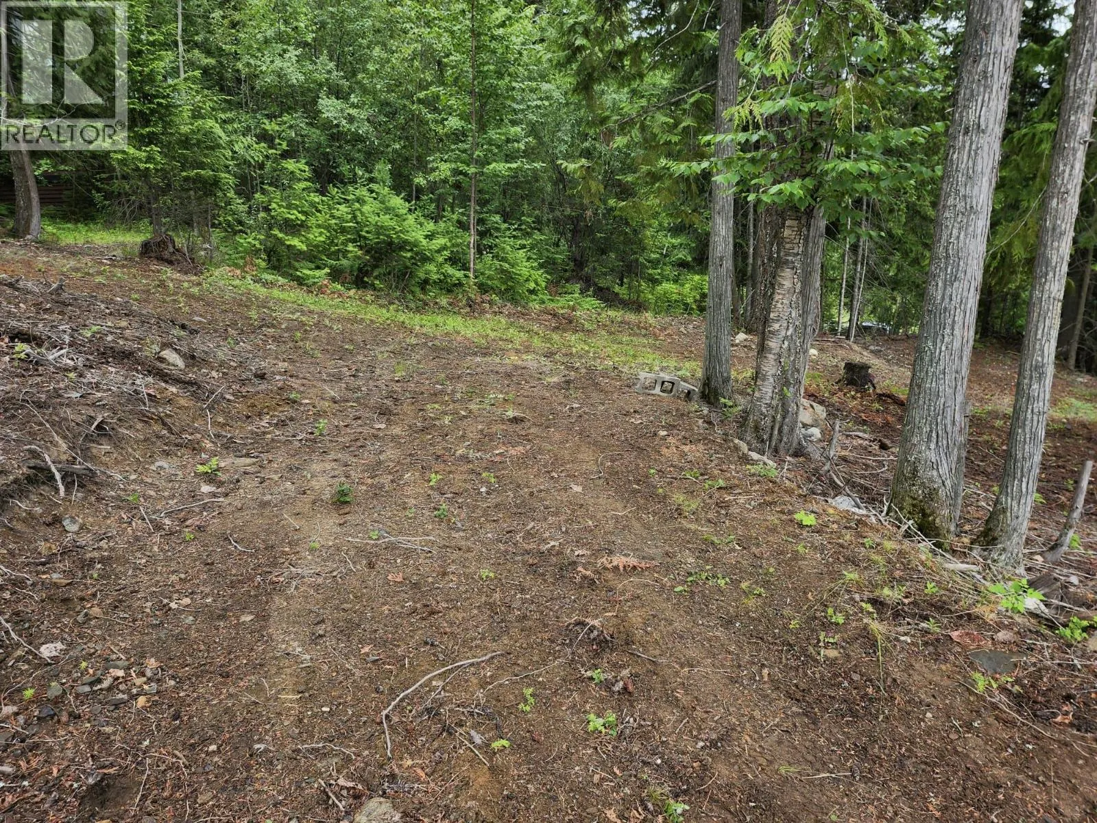 Aspen Road Lot# 331