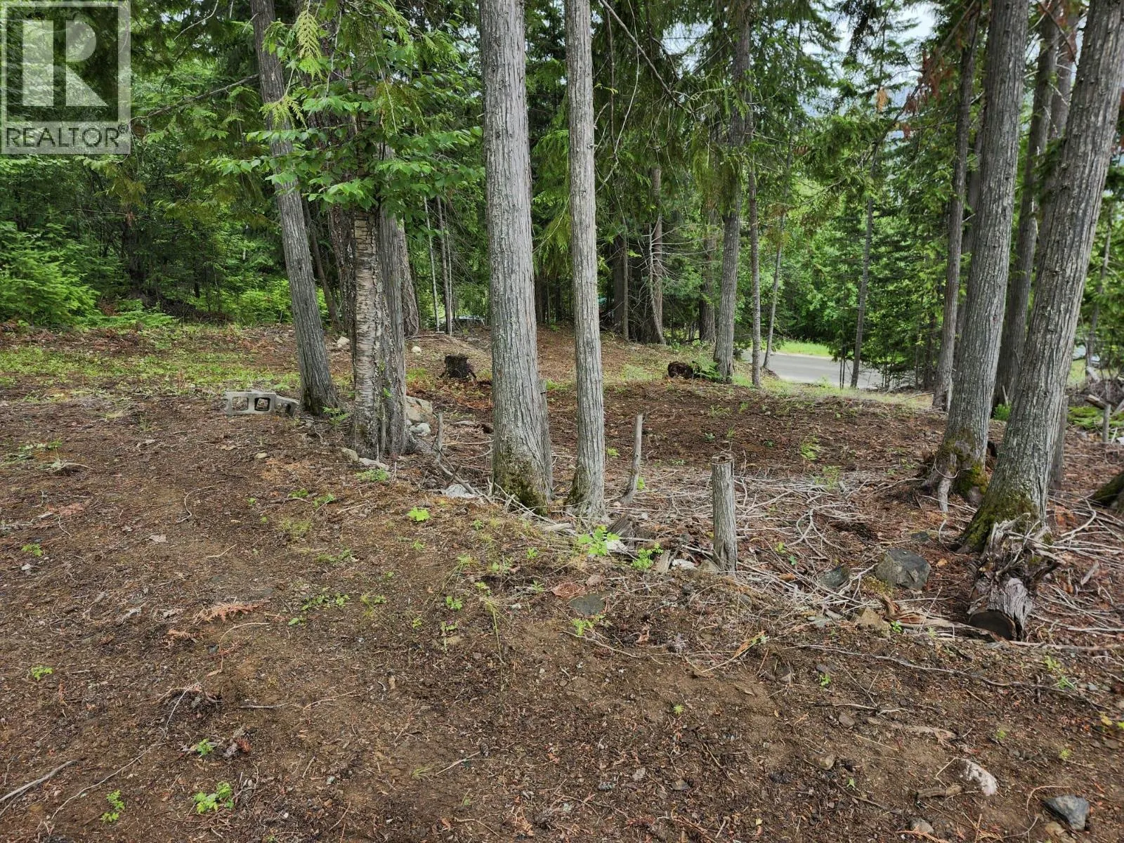 Aspen Road Lot# 331