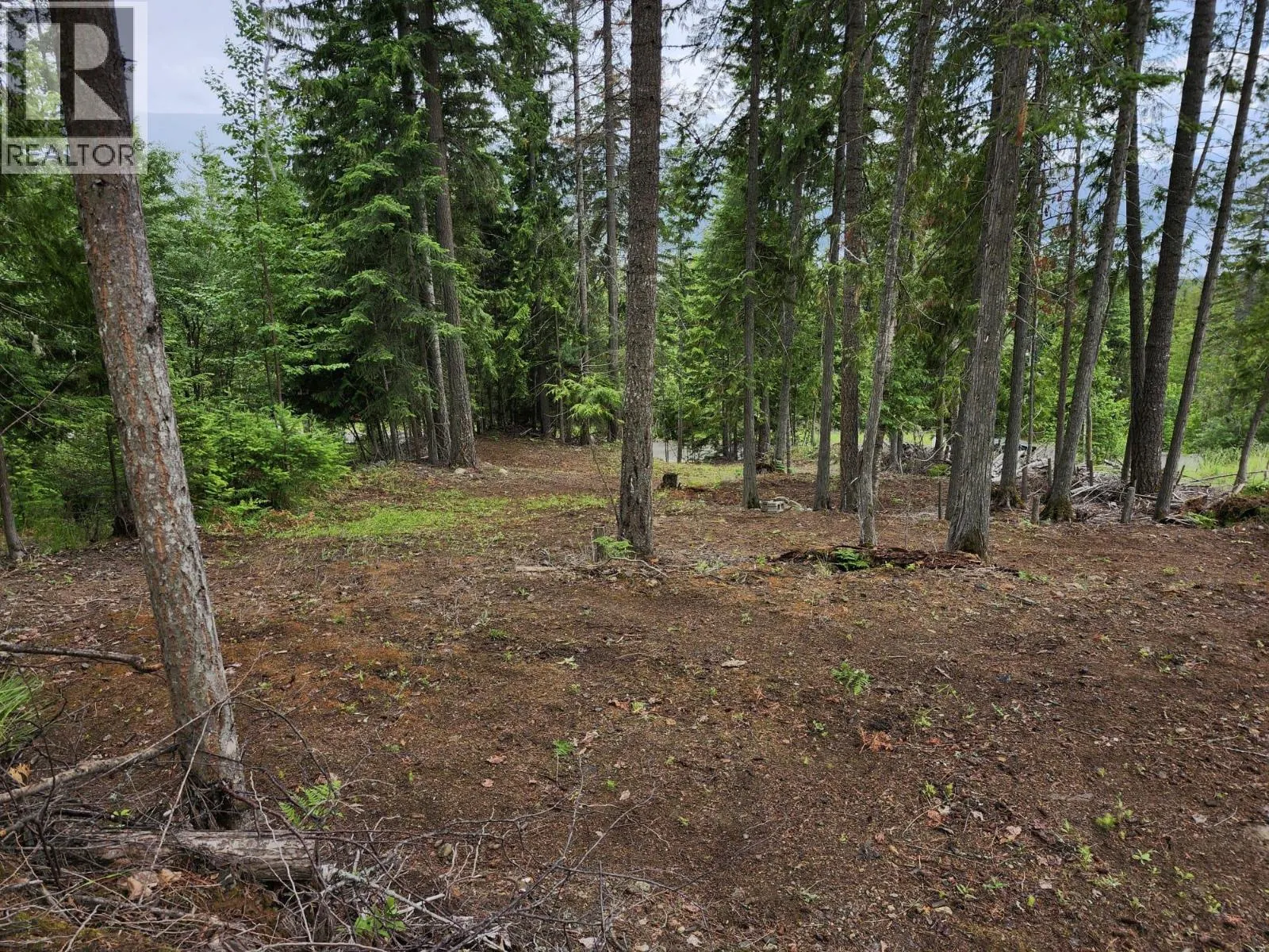 Aspen Road Lot# 331