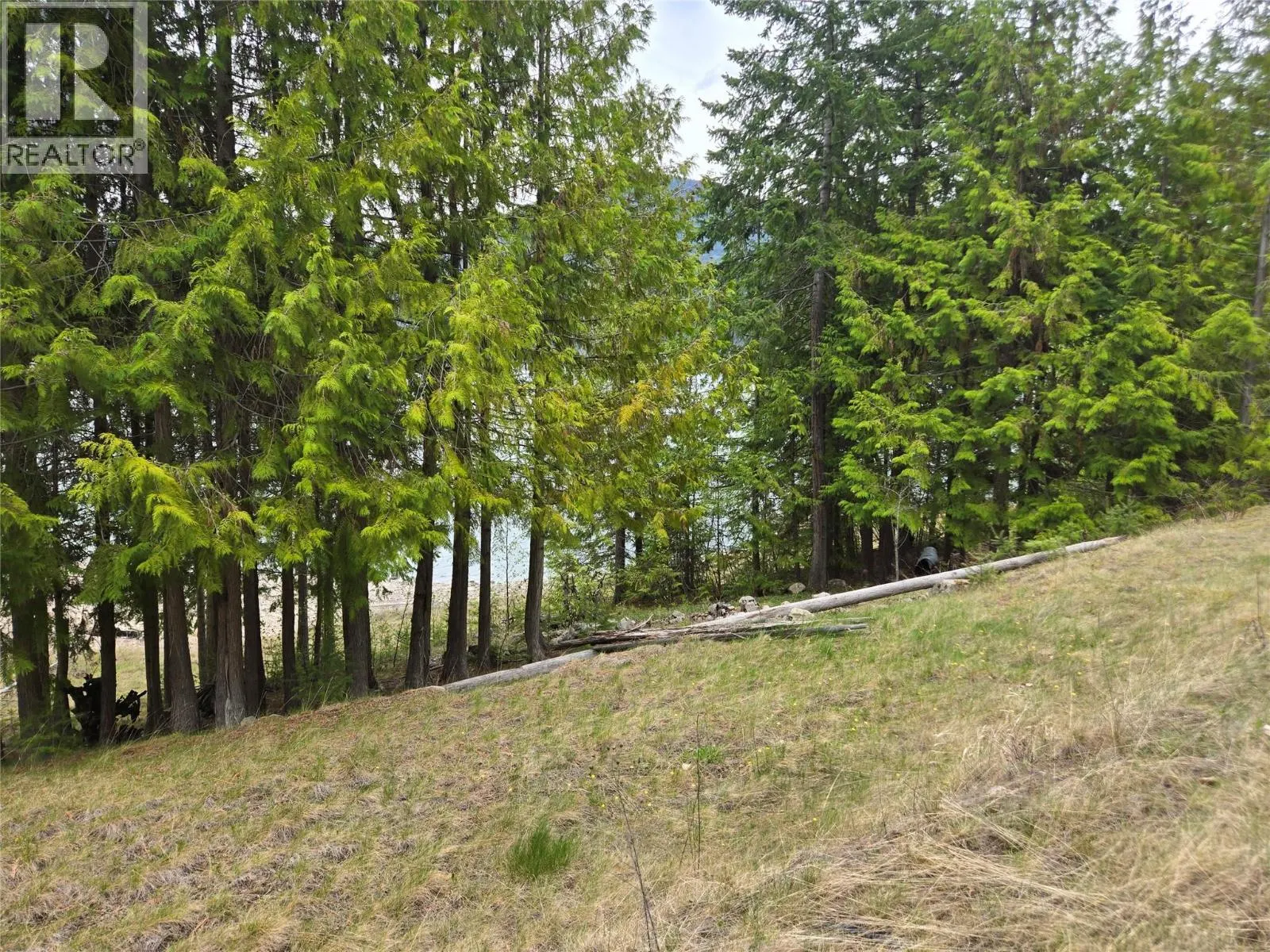 180 Lower Arrow Lake