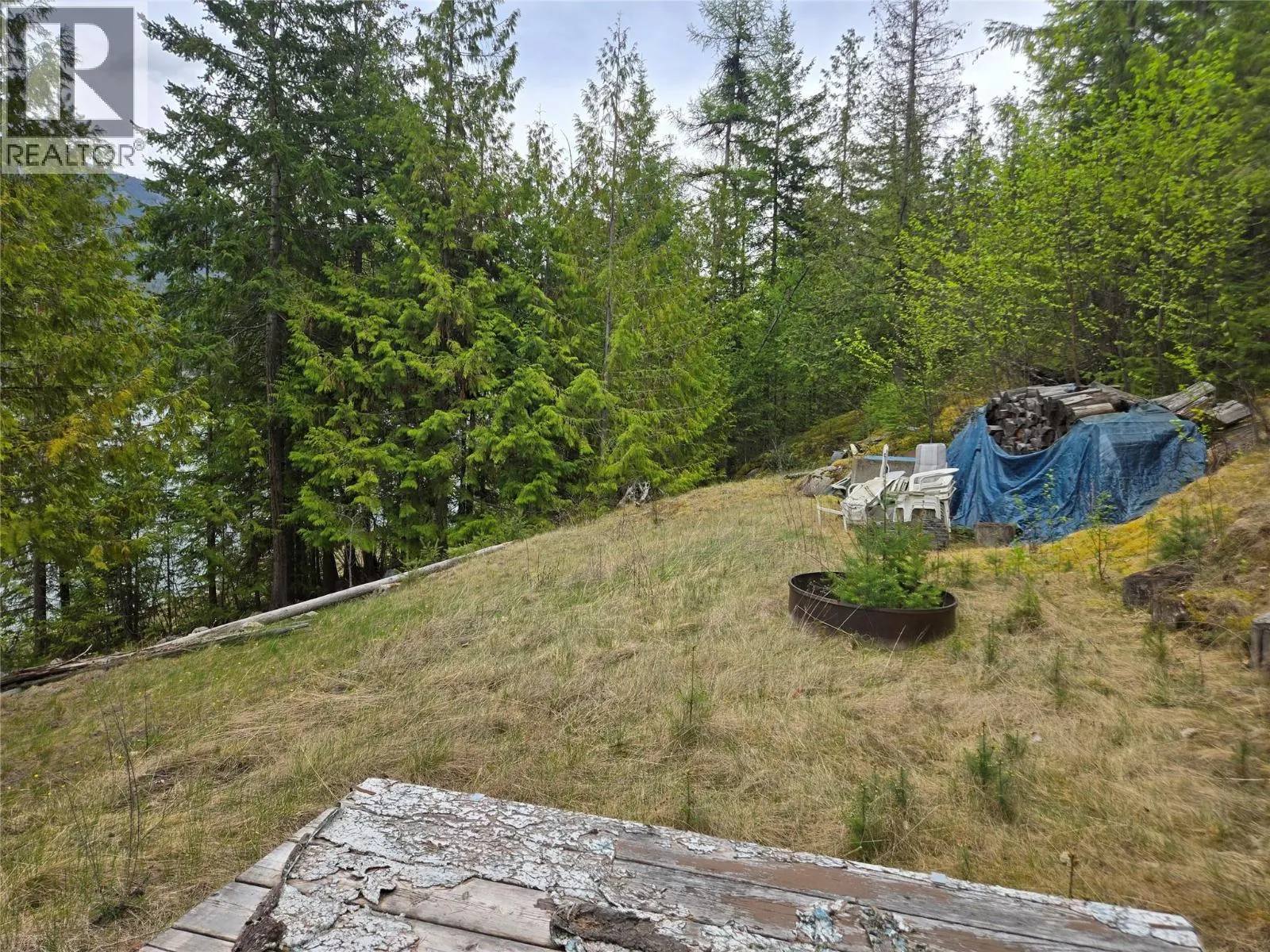 180 Lower Arrow Lake