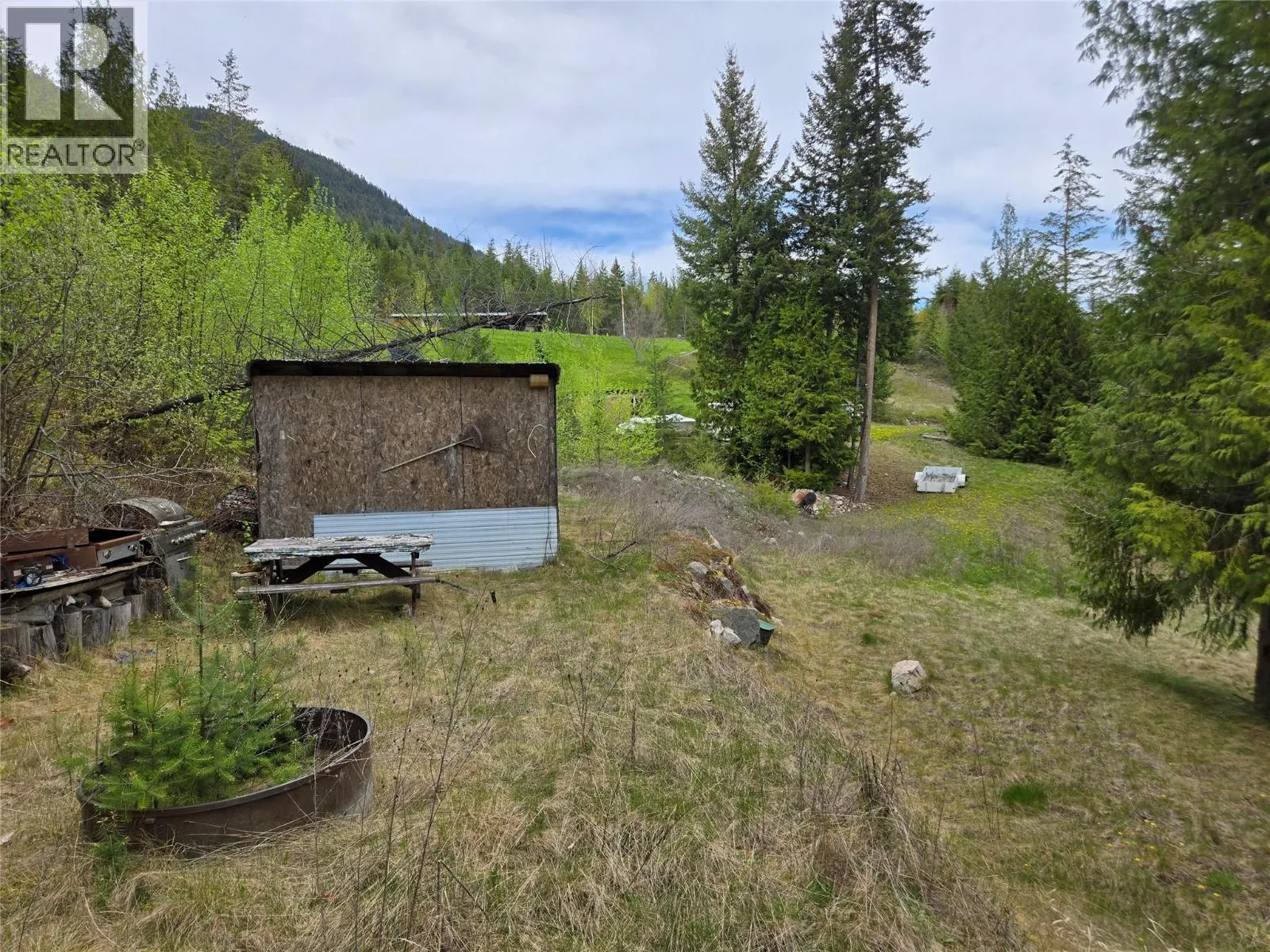 180 Lower Arrow Lake