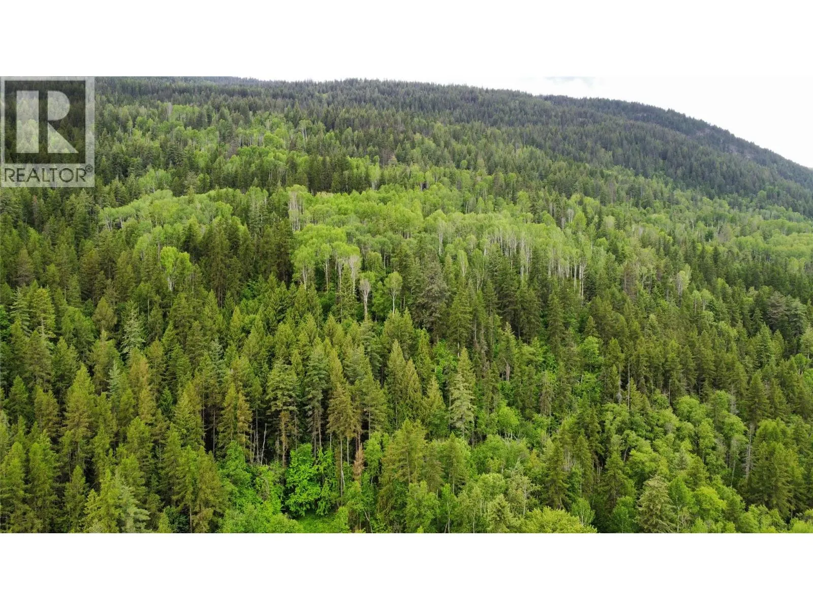 Lot 8 Arrow Lakes Drive