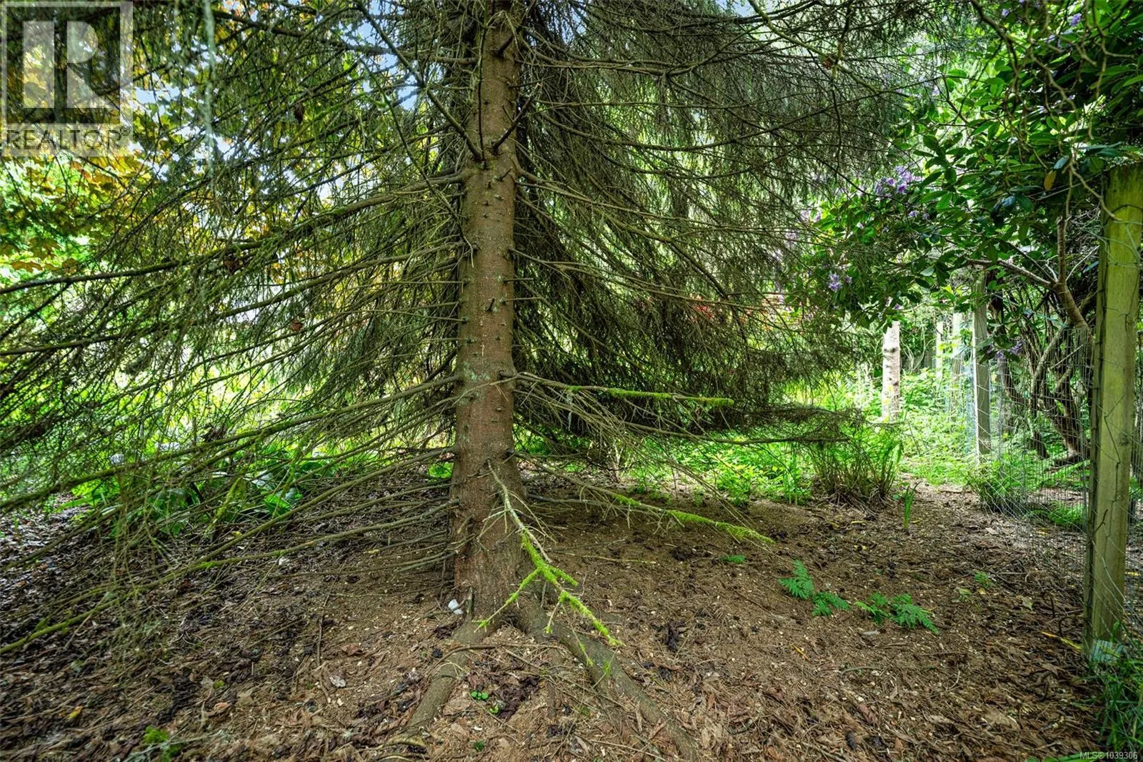 B 7095 Richview Dr