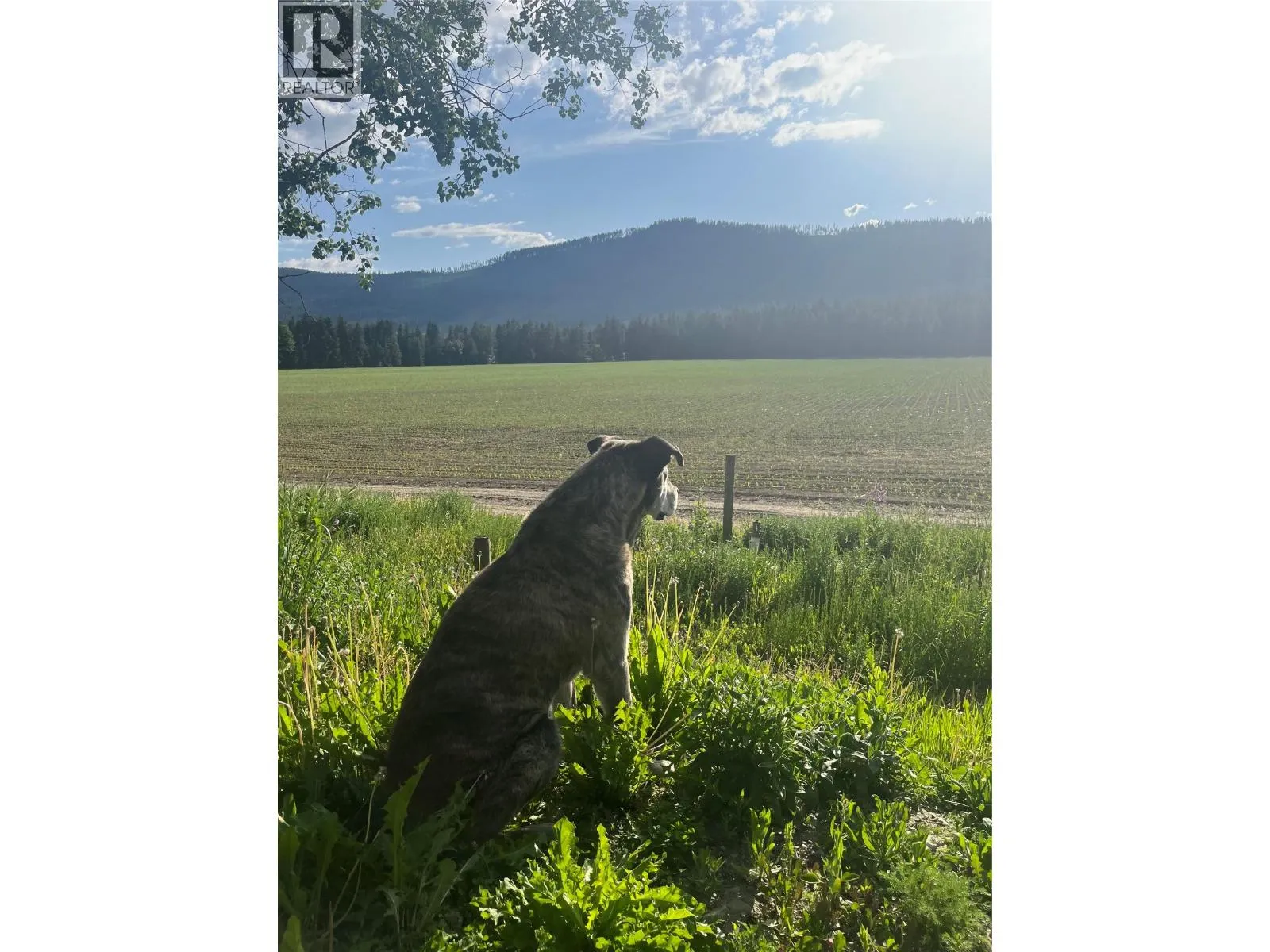 342 Lumby Mabel Lake Road
