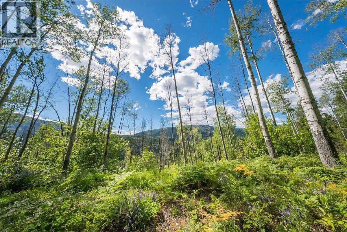 1385 Pass Creek Road