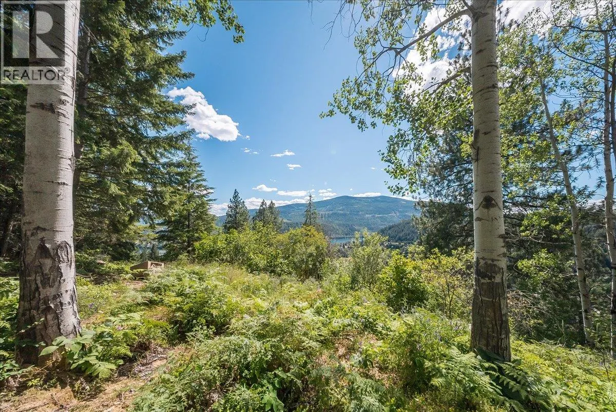 1385 Pass Creek Road