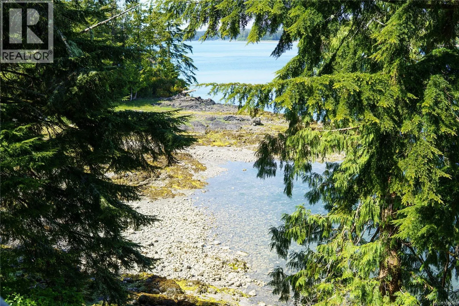 607 1971 HARBOUR Dr