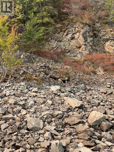 Lower Arrow Lake Lot# 5
