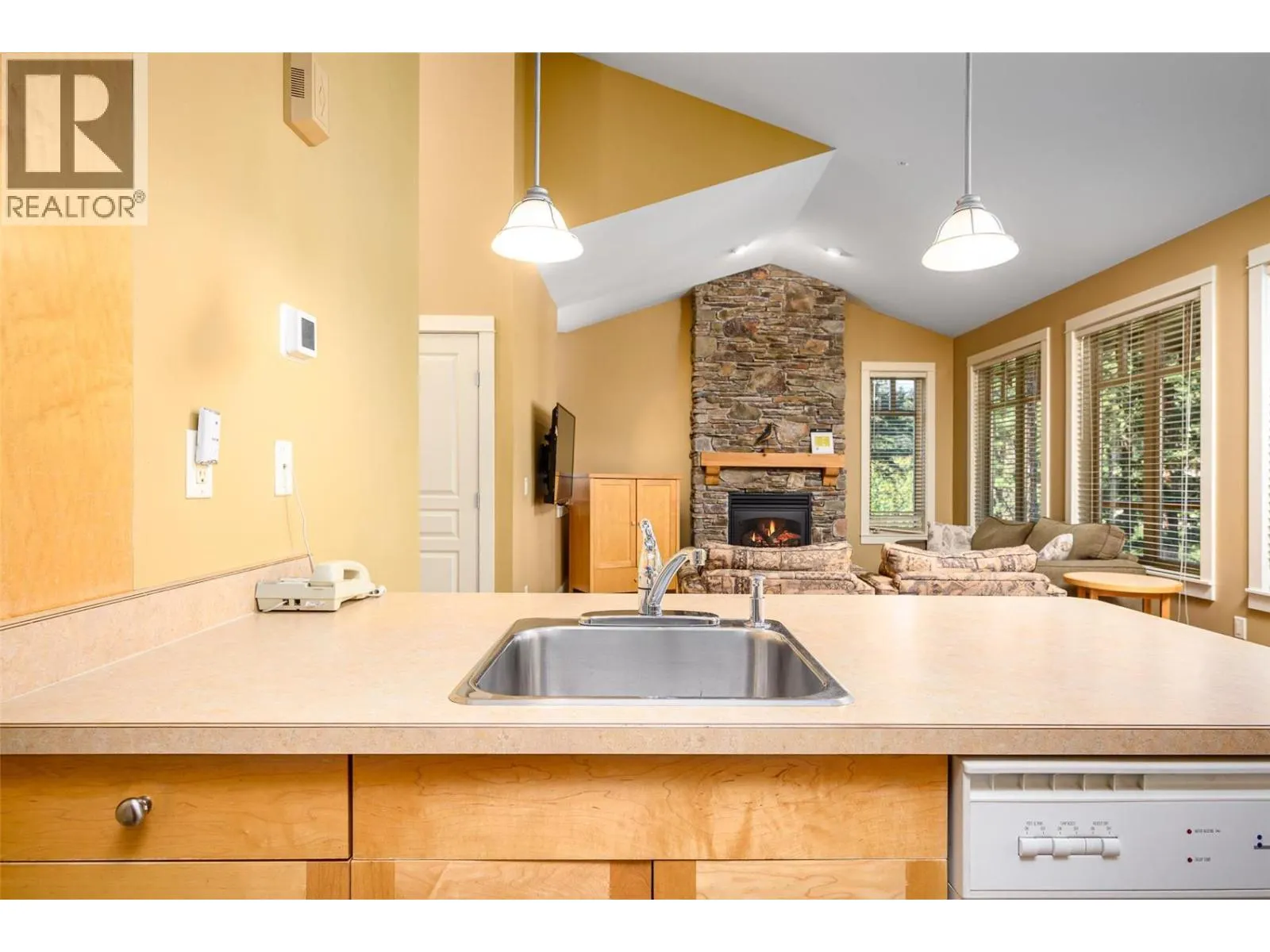 251 Predator Ridge Drive Unit# 47