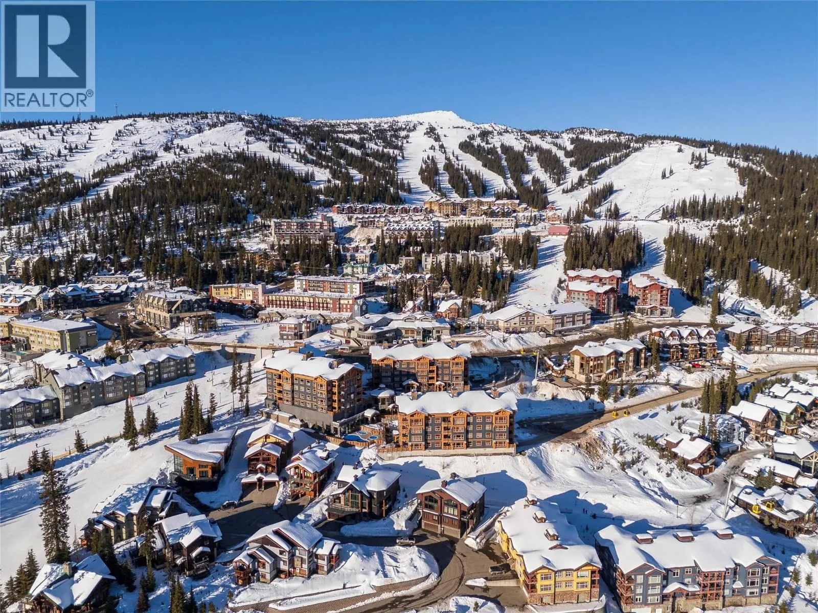 4899 Snowpines Road Unit# D