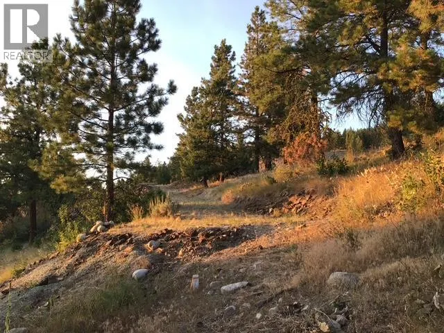 470 Sasquatch Trail Trail