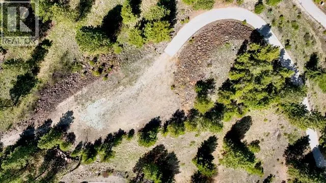 470 Sasquatch Trail Trail