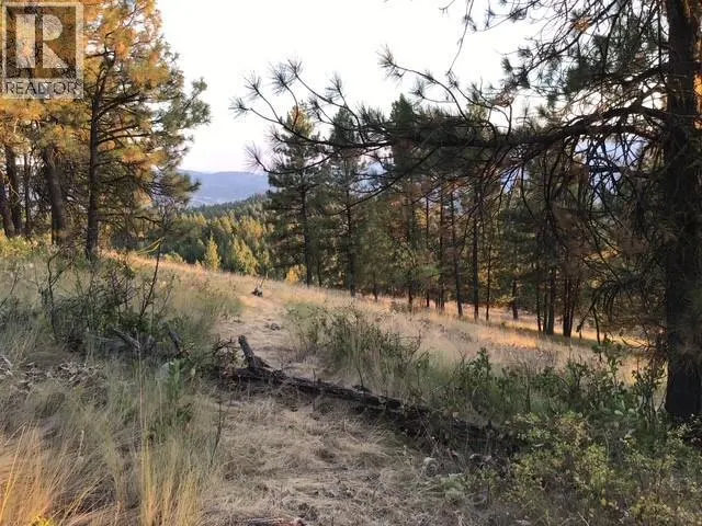 470 Sasquatch Trail Trail