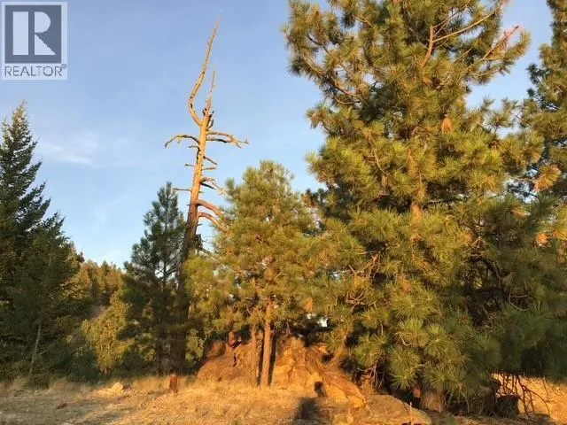 470 Sasquatch Trail Trail