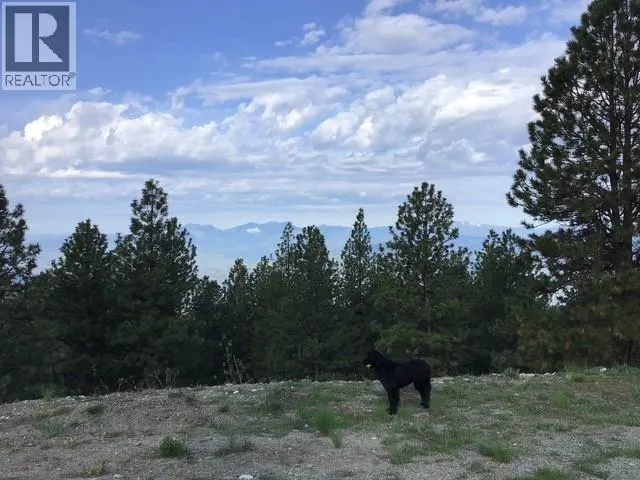 470 Sasquatch Trail Trail