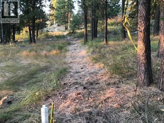 470 Sasquatch Trail Trail