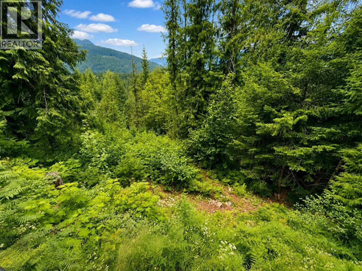 87 Dolly Varden Road