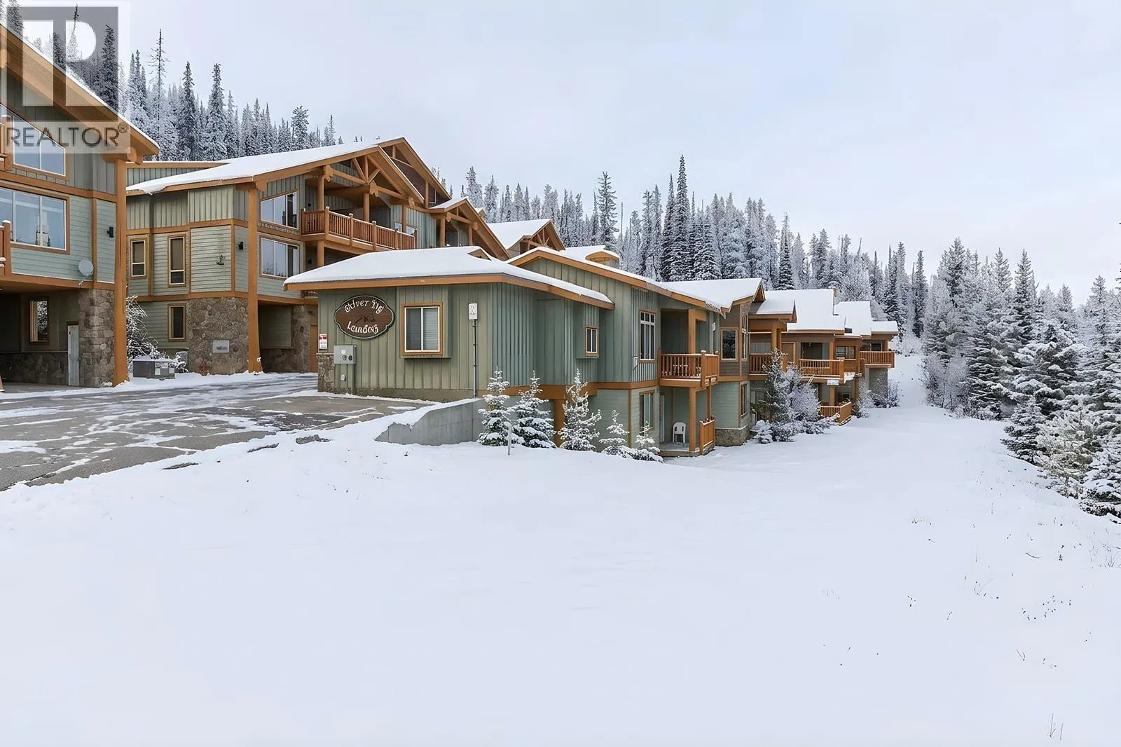 5940 Snow Pines Way Unit# 11