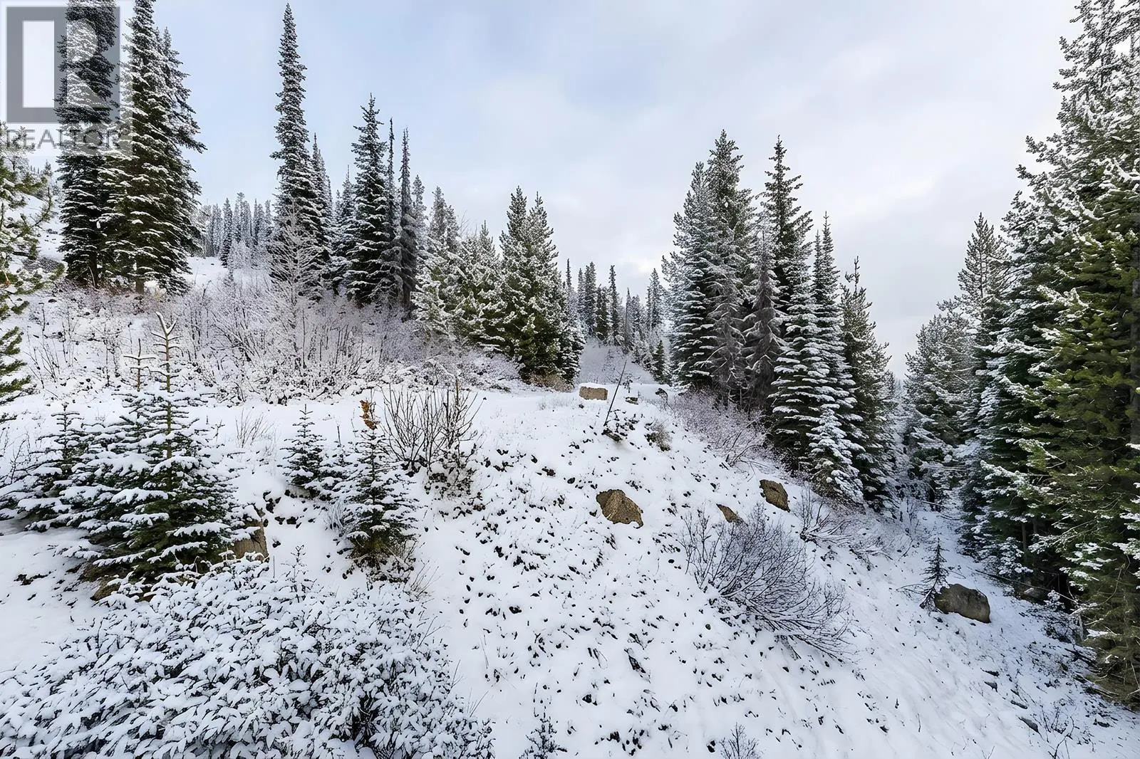 5940 Snow Pines Way Unit# 11