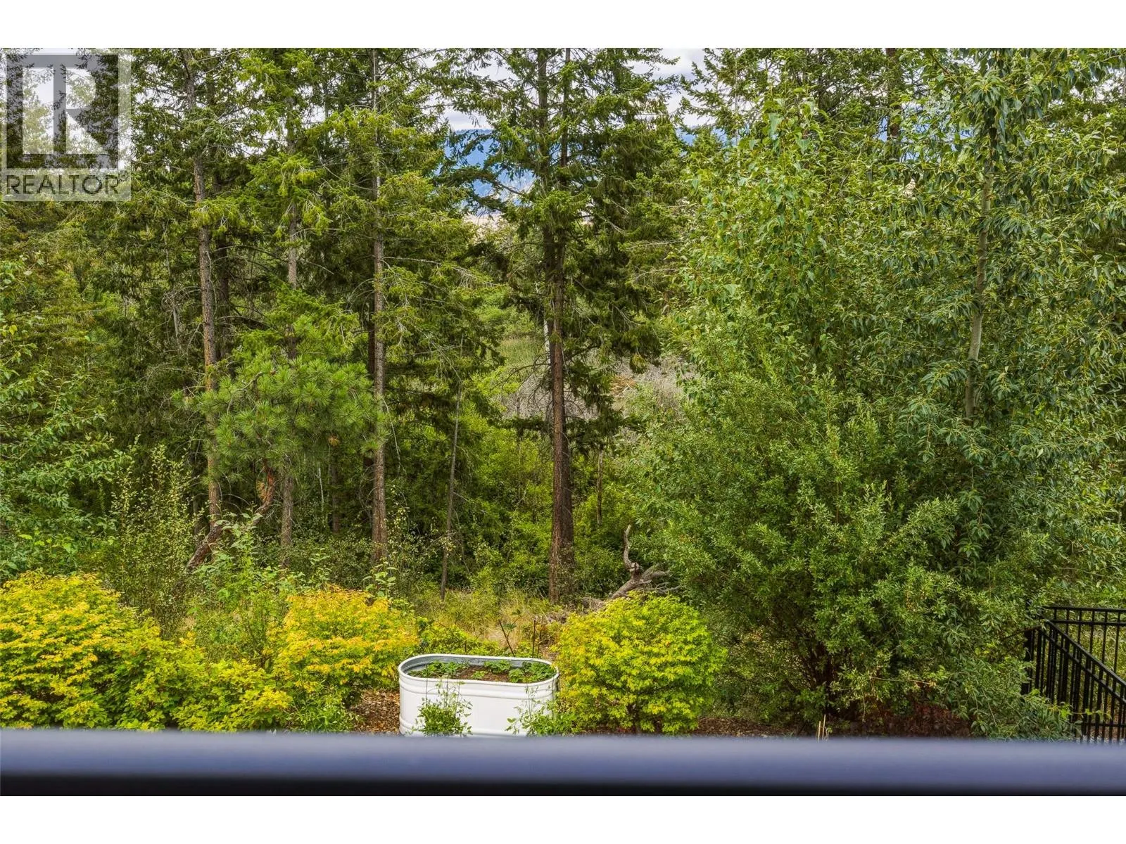 10293 Long Road