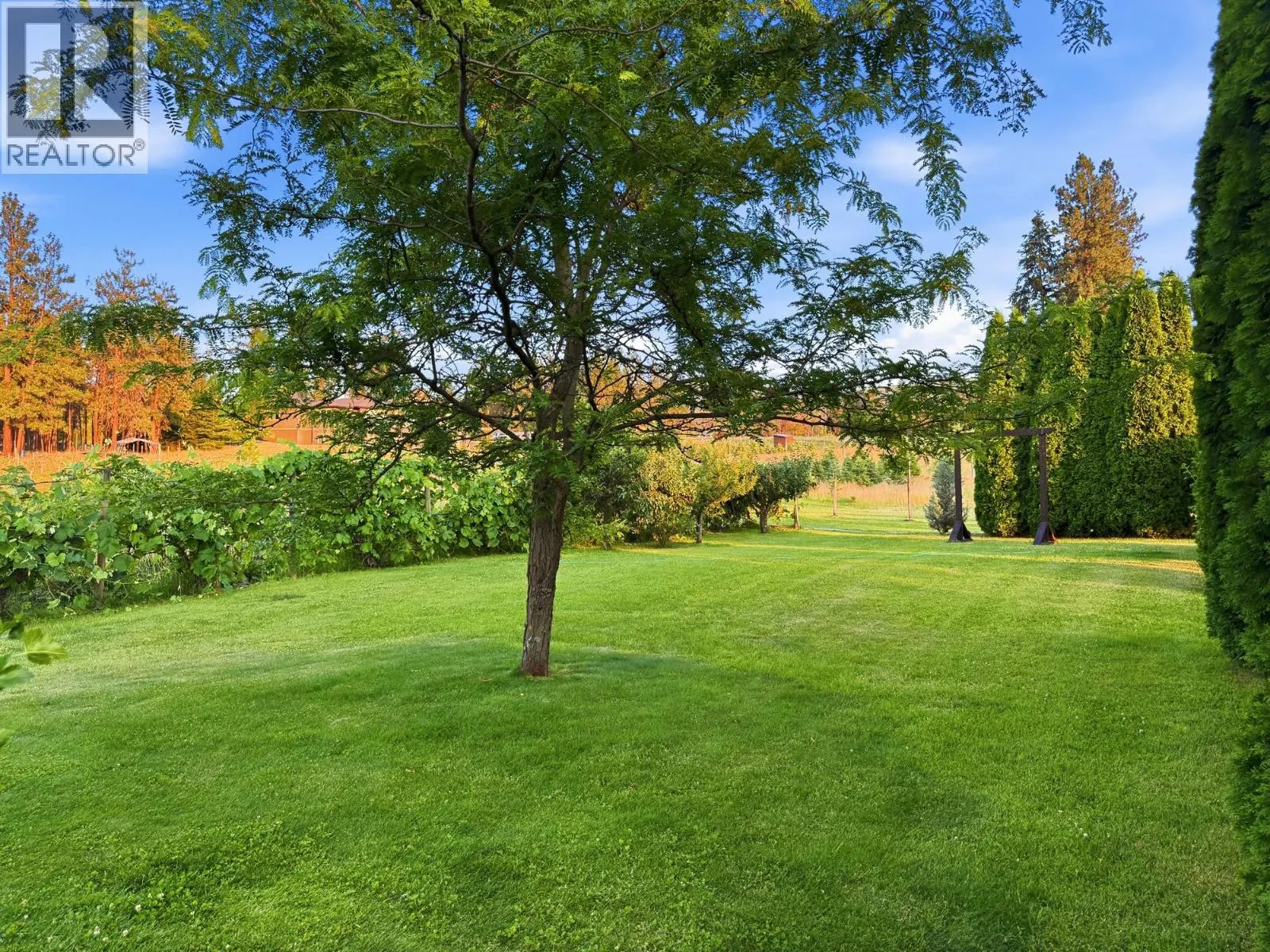 3975 June Springs Road