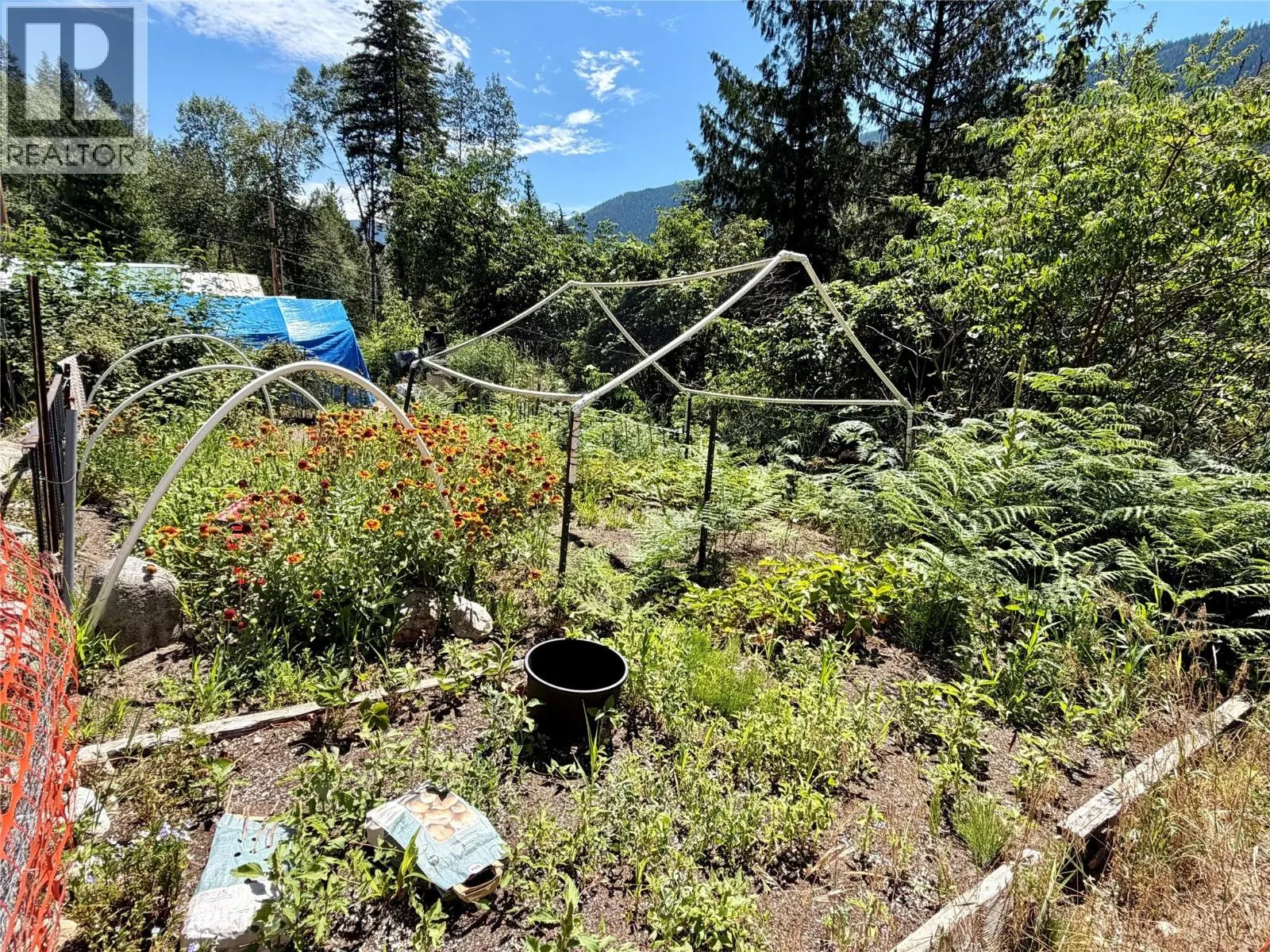 175 Grohman Creek Road