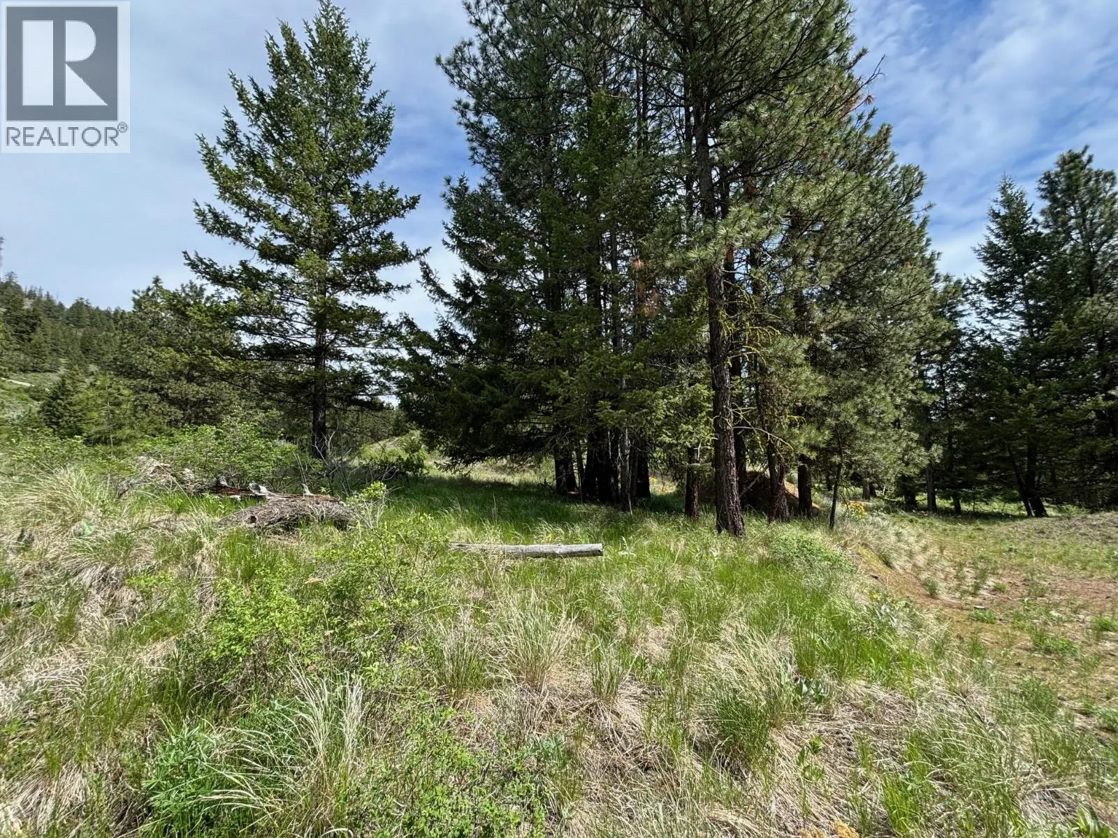 500 Sasquatch Trail