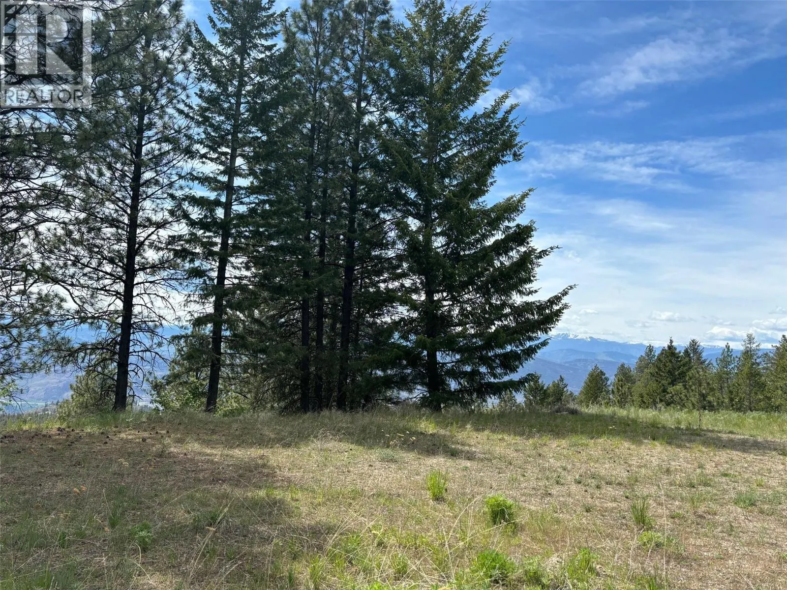 500 Sasquatch Trail