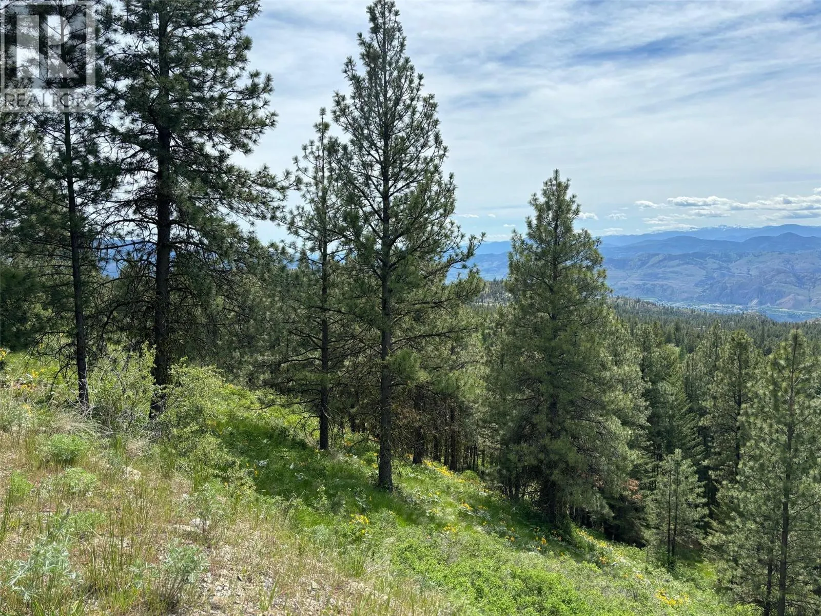 500 Sasquatch Trail