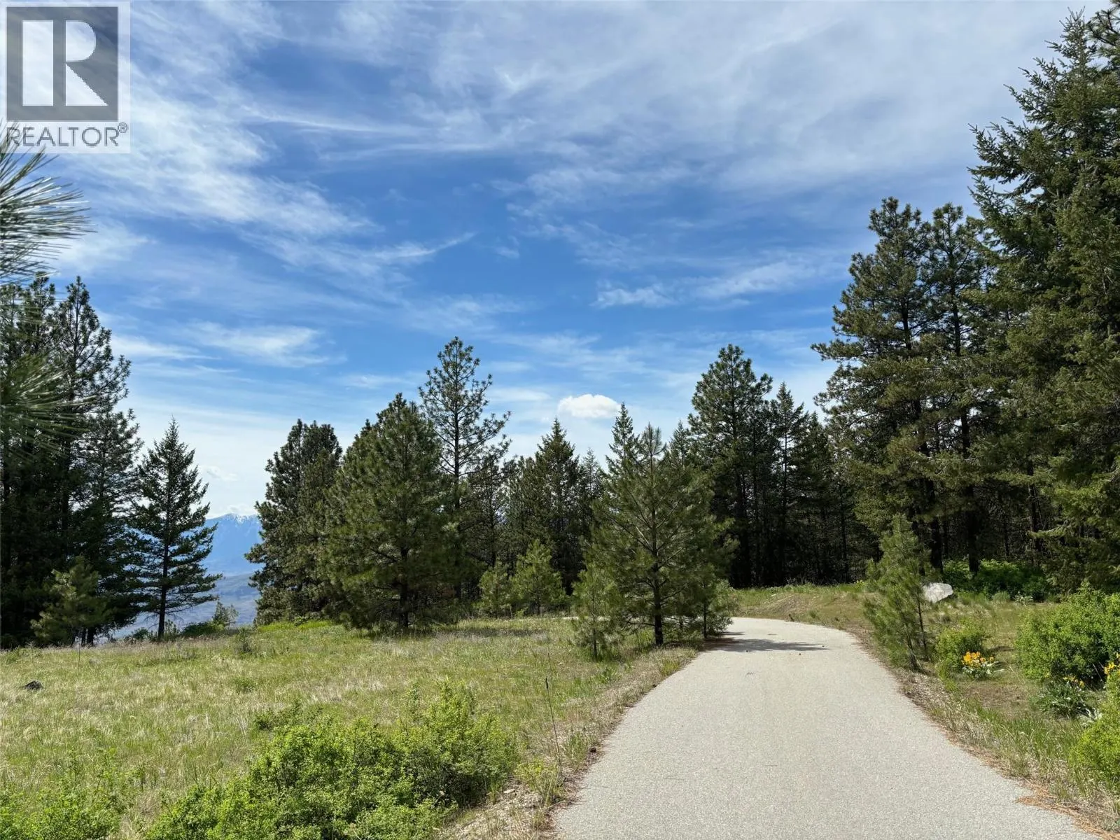 500 Sasquatch Trail