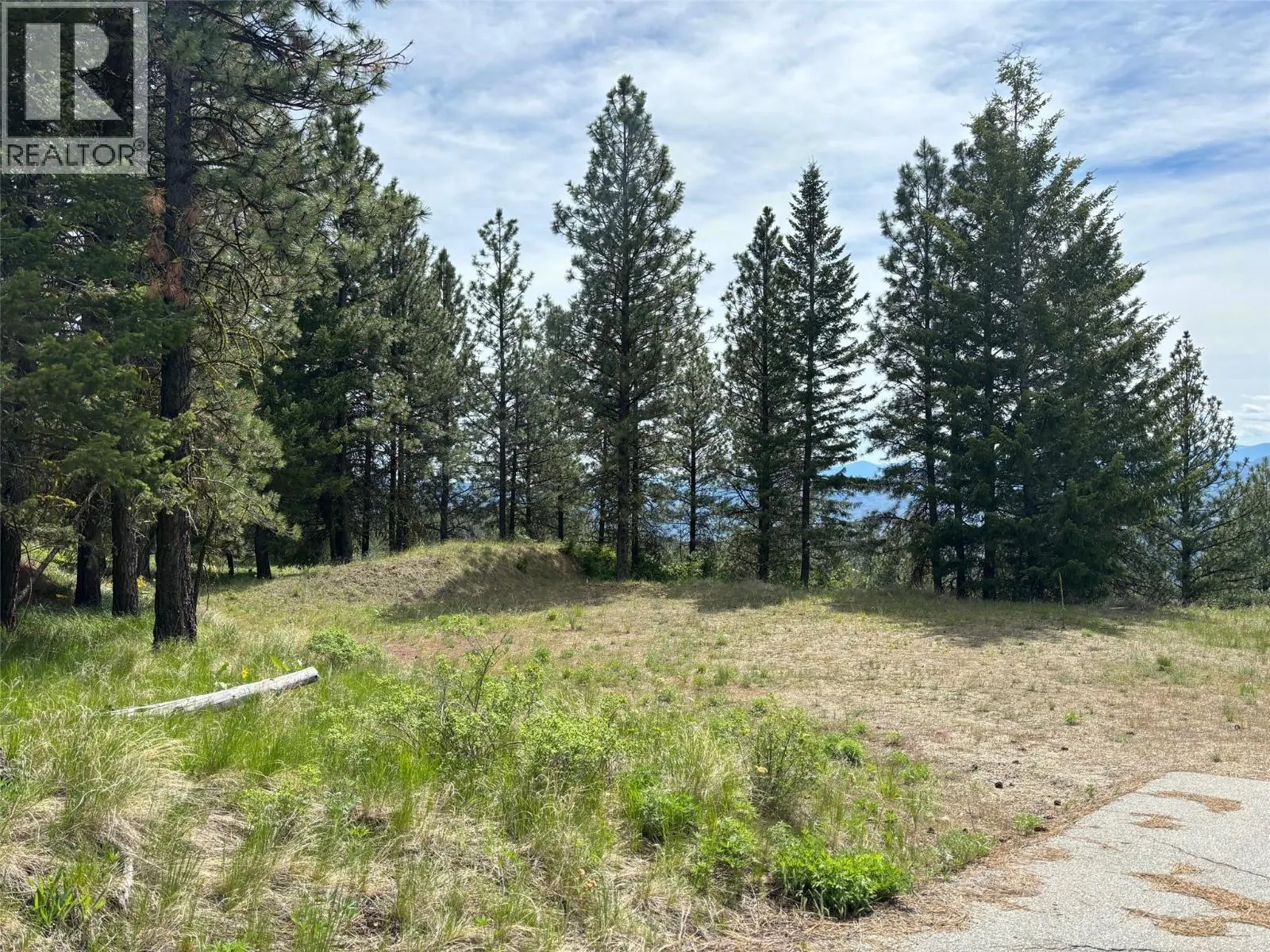 500 Sasquatch Trail