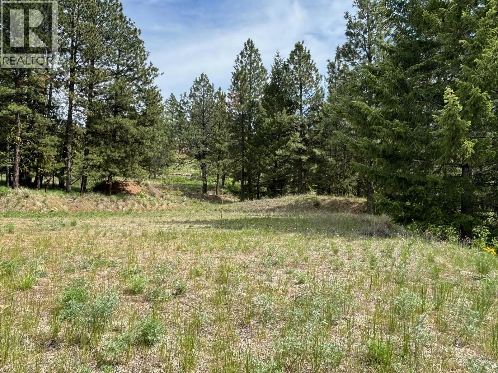 500 Sasquatch Trail