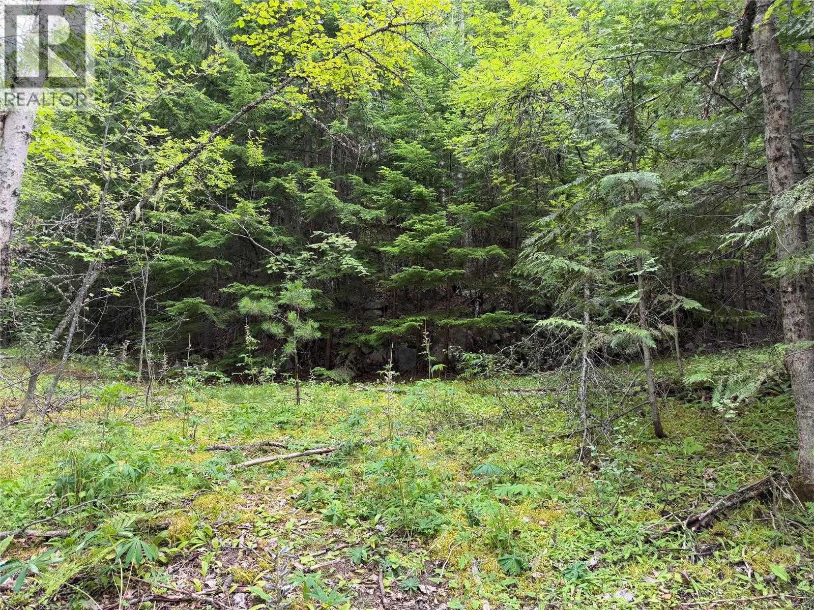Choquette Avenue Lot# 4