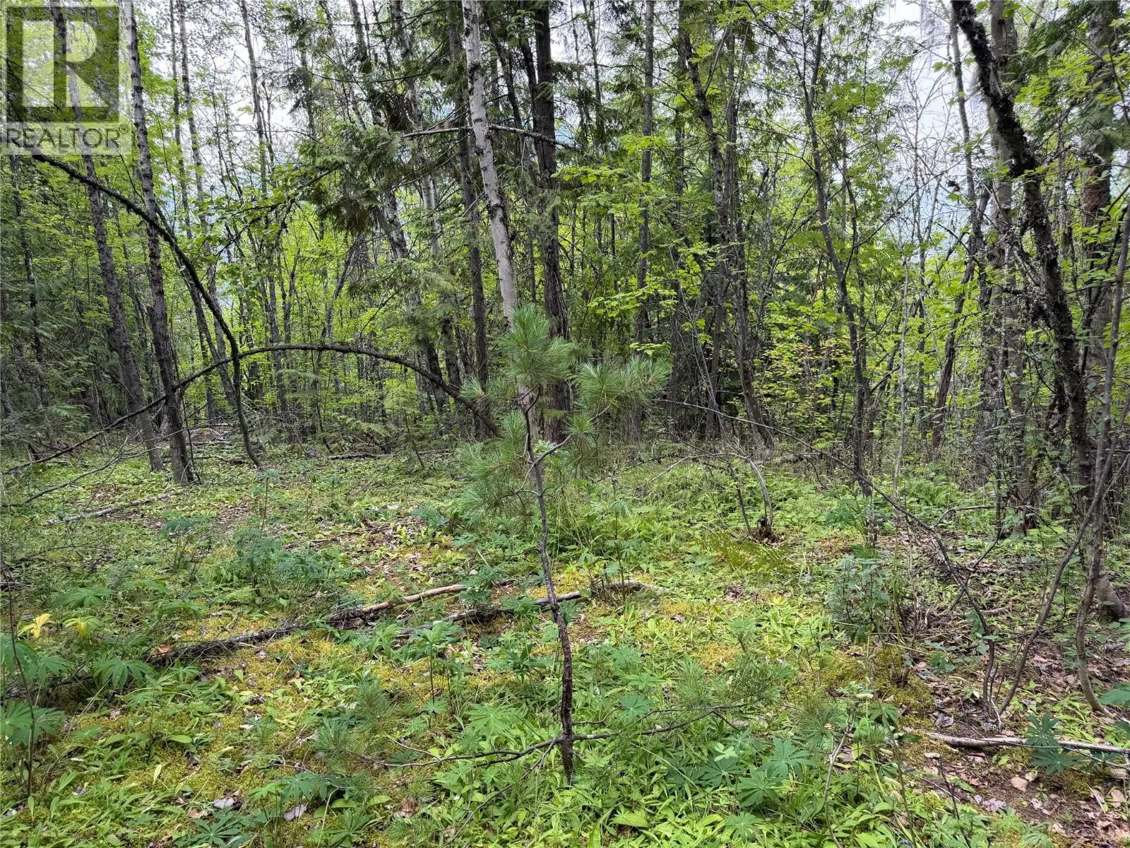Choquette Avenue Lot# 4