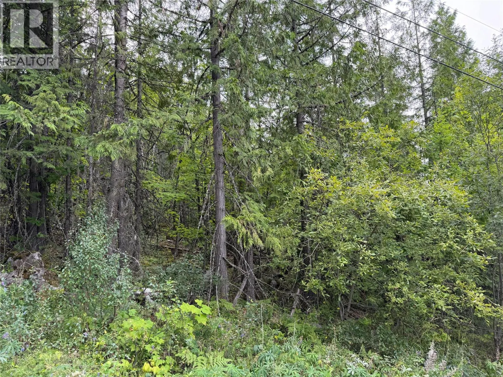 Choquette Avenue Lot# 4