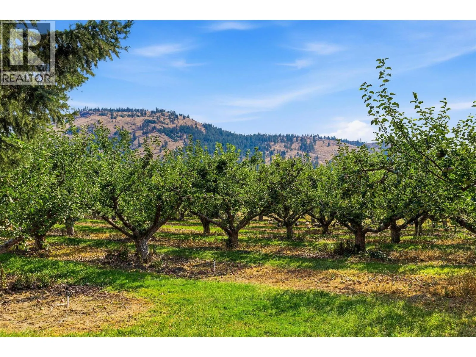 13620 Cooke Avenue Lot# 2