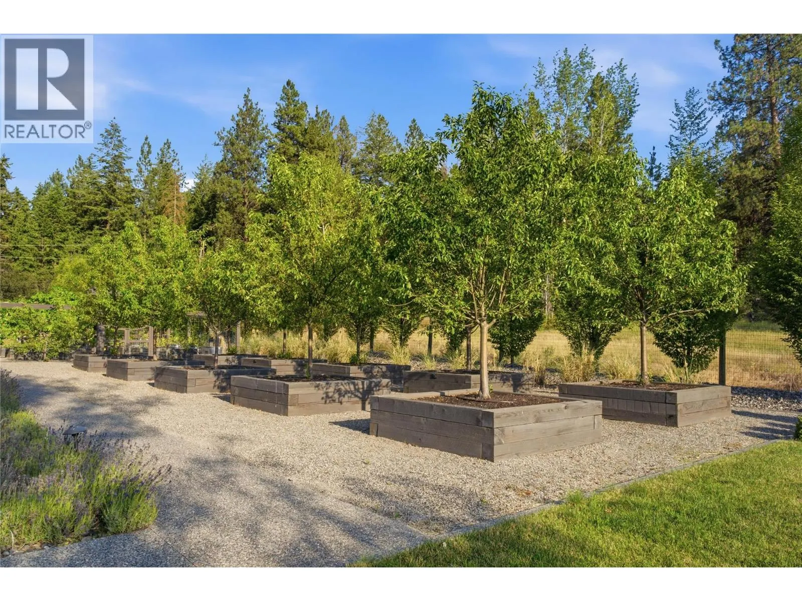 4588 Sallows Road