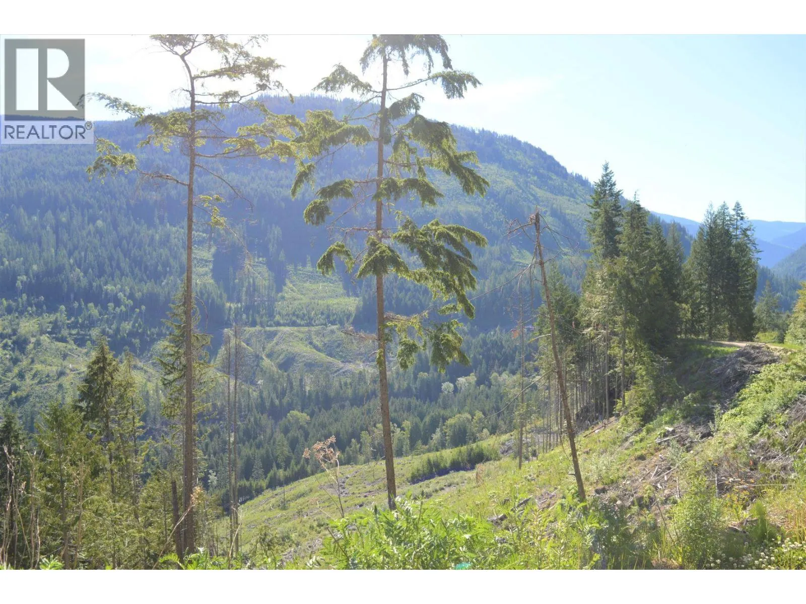 Lot 2 Highway 6