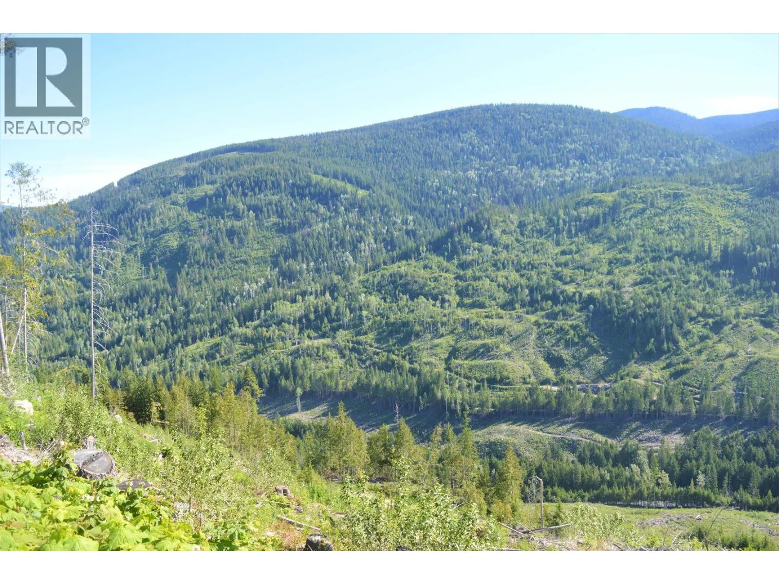 Lot 2 Highway 6