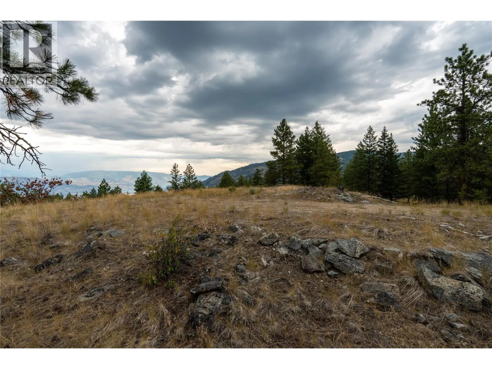LOT B Grizzly Place