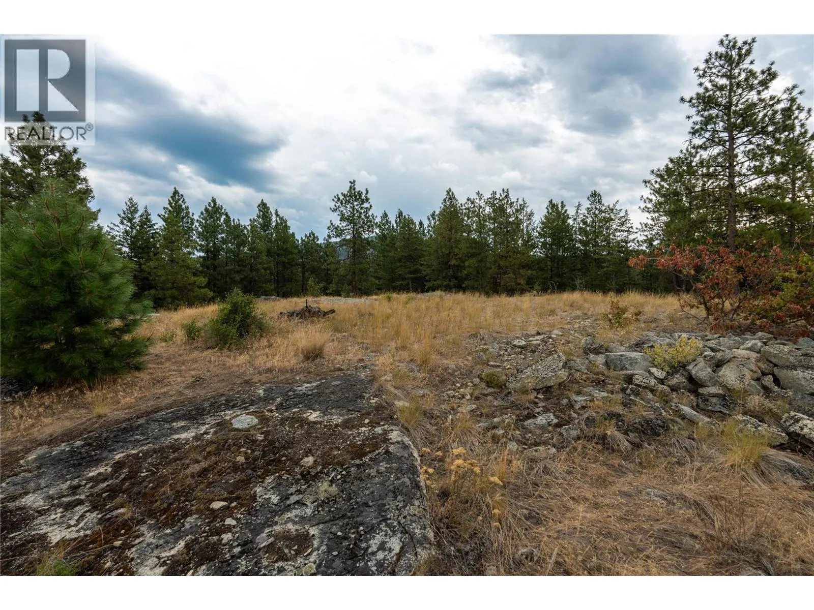 LOT B Grizzly Place