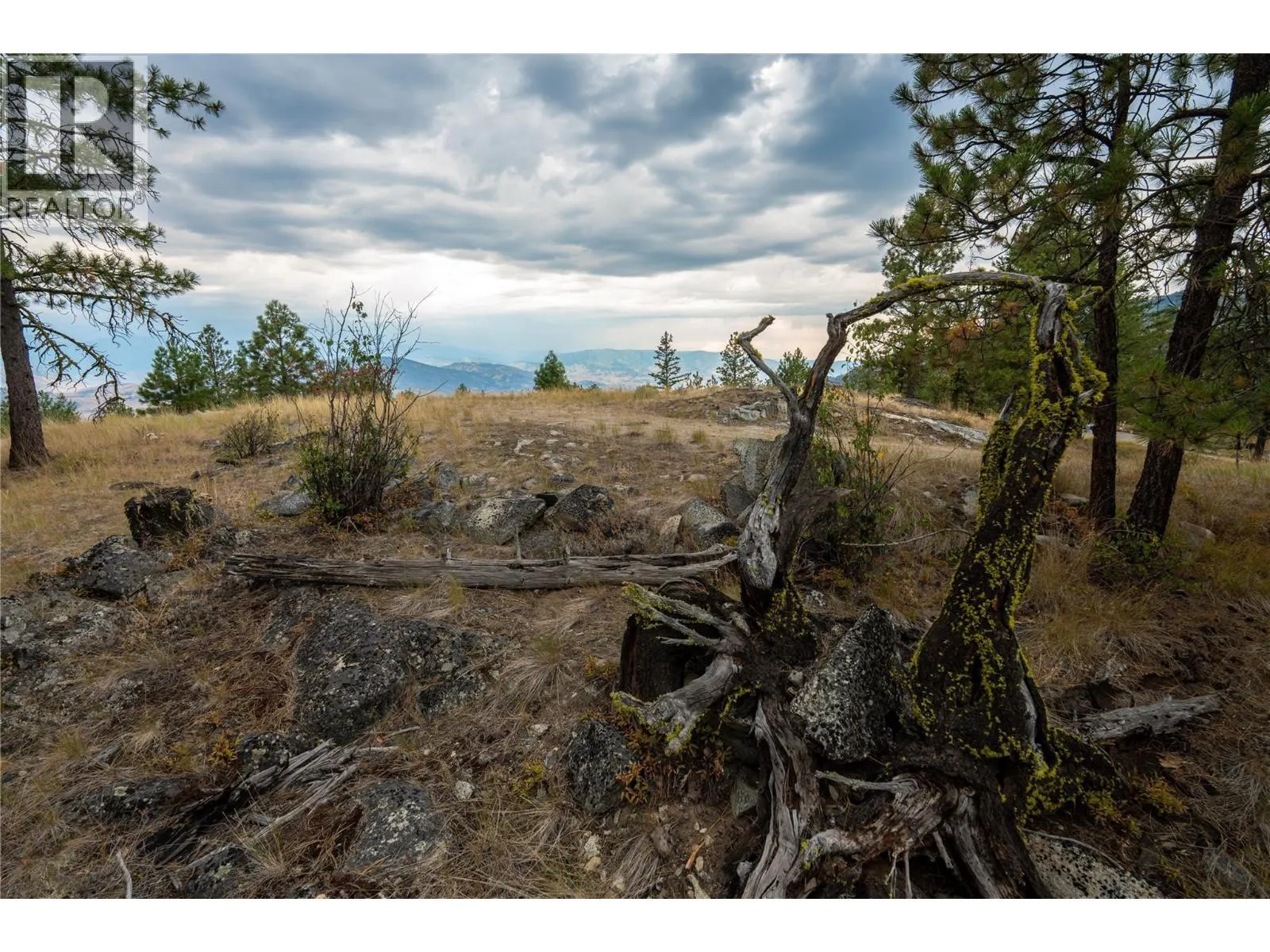 LOT B Grizzly Place