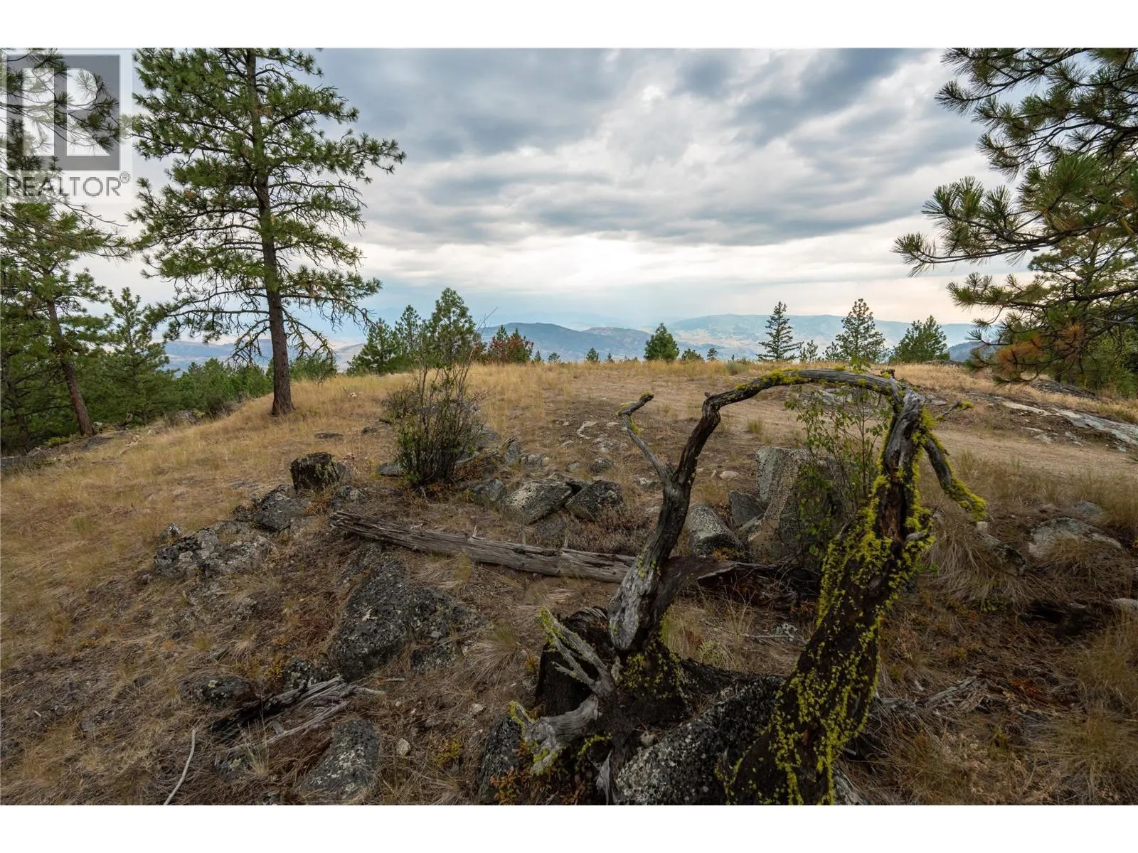 LOT B Grizzly Place