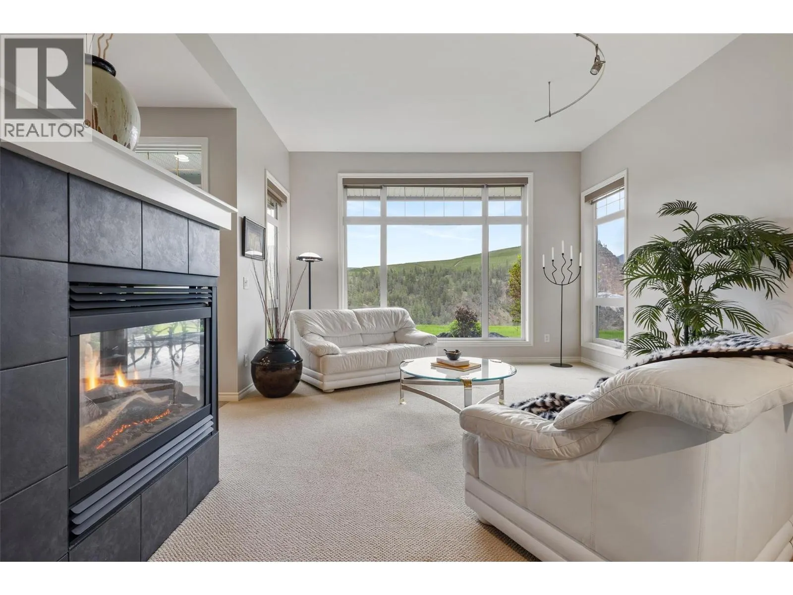 3800 Gallaghers Pinnacle Way Unit# 29