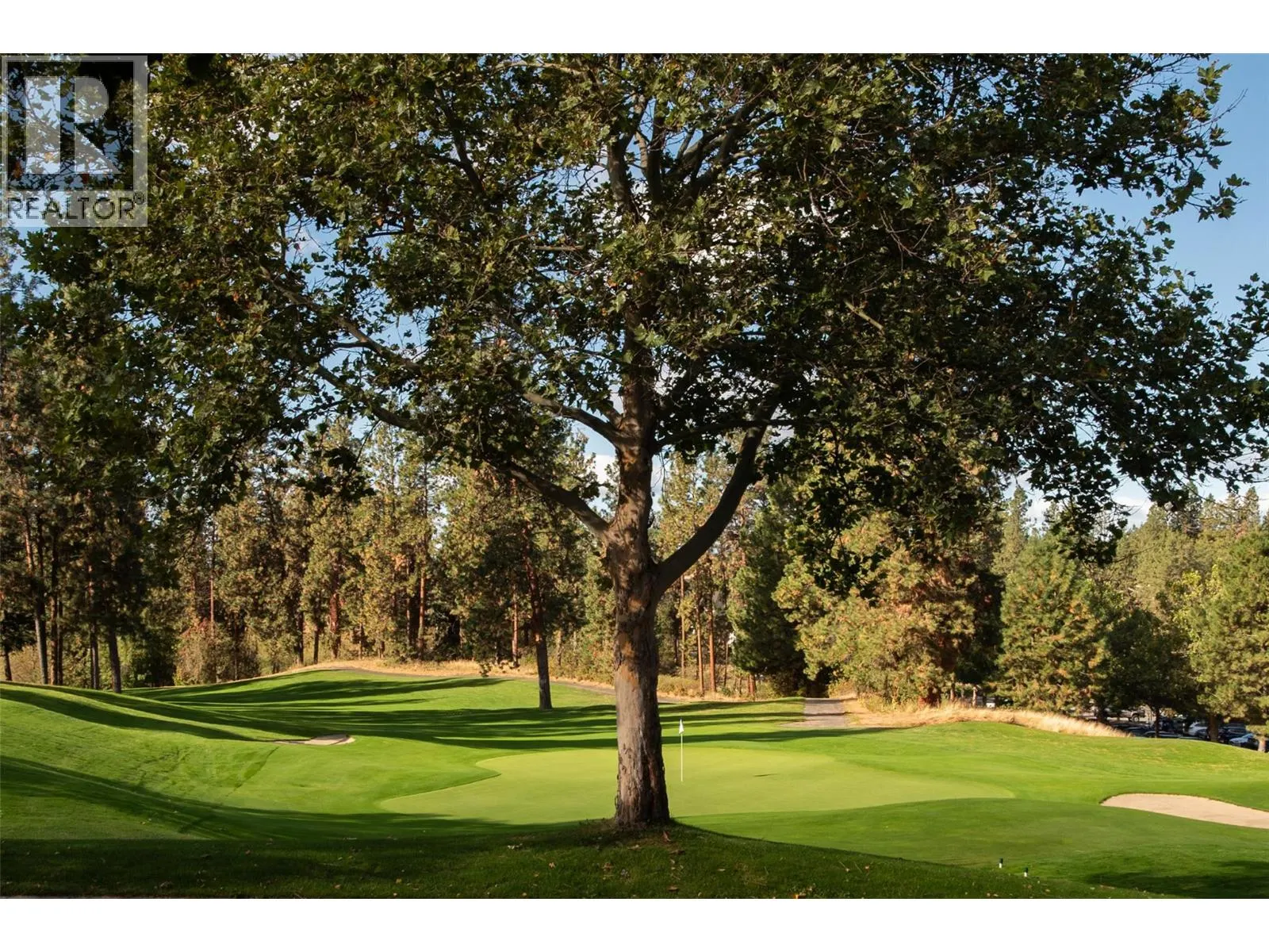 3800 Gallaghers Pinnacle Way Unit# 29
