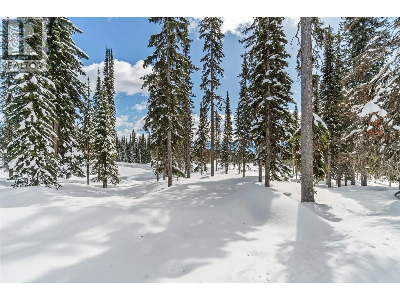 Black Forest Way Lot# 5