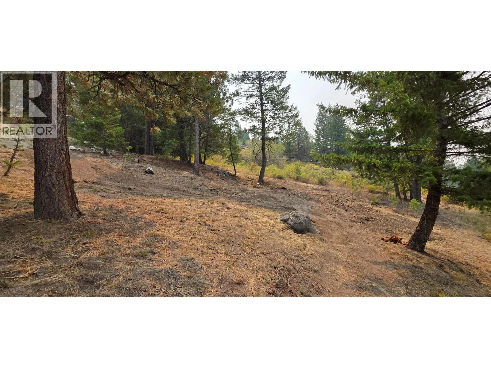 120 Sasquatch Court