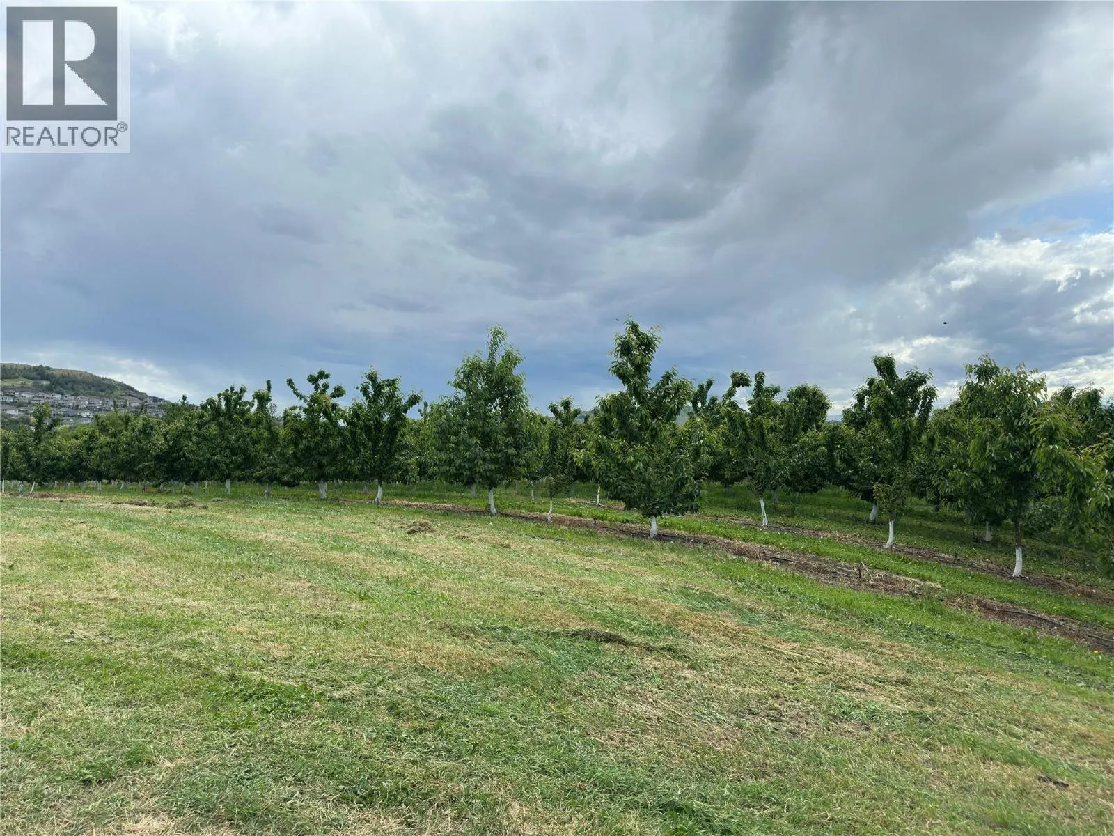 1102 Pottery Road