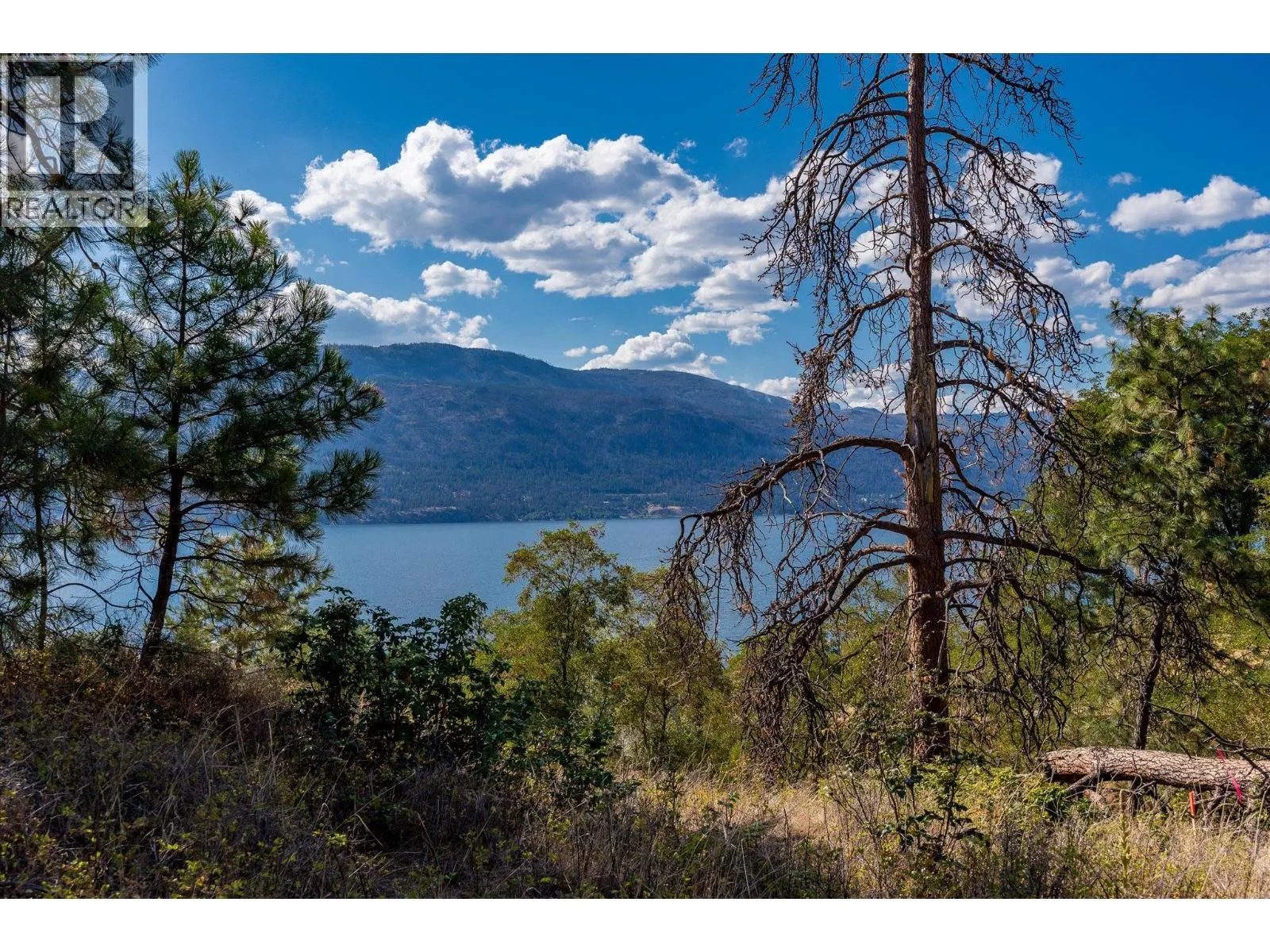 Okanagan Centre Road W Lot# 102